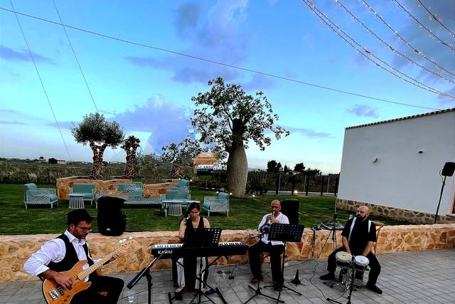 Boda Callosa de Segura