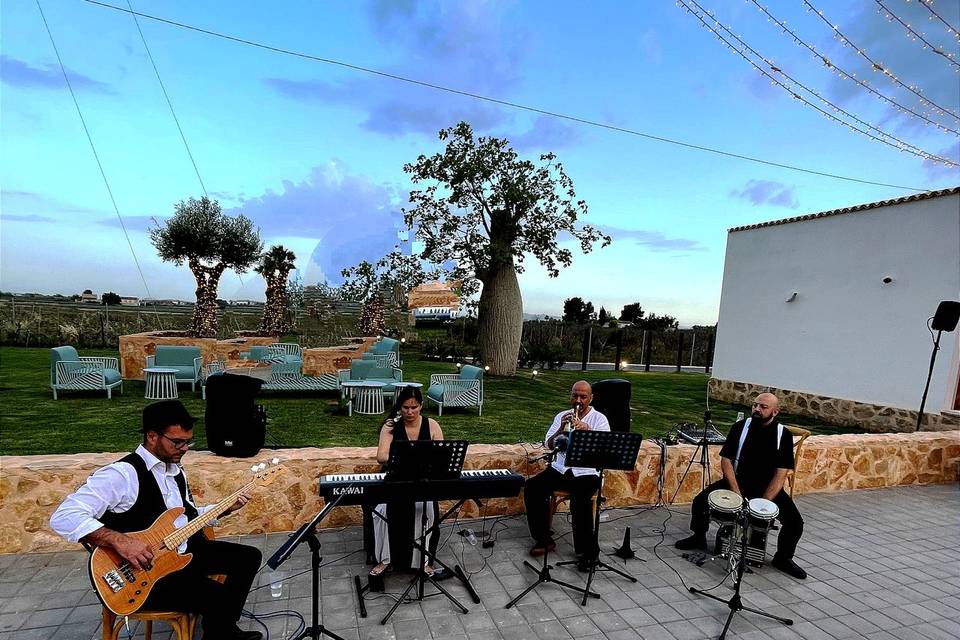 Boda Callosa de Segura