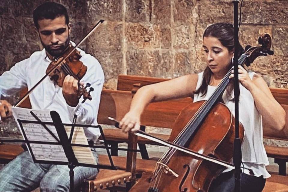 García Sanjuán Strings