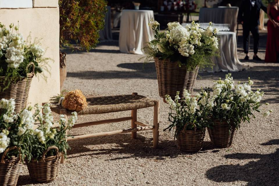 Escaparate ceremonia