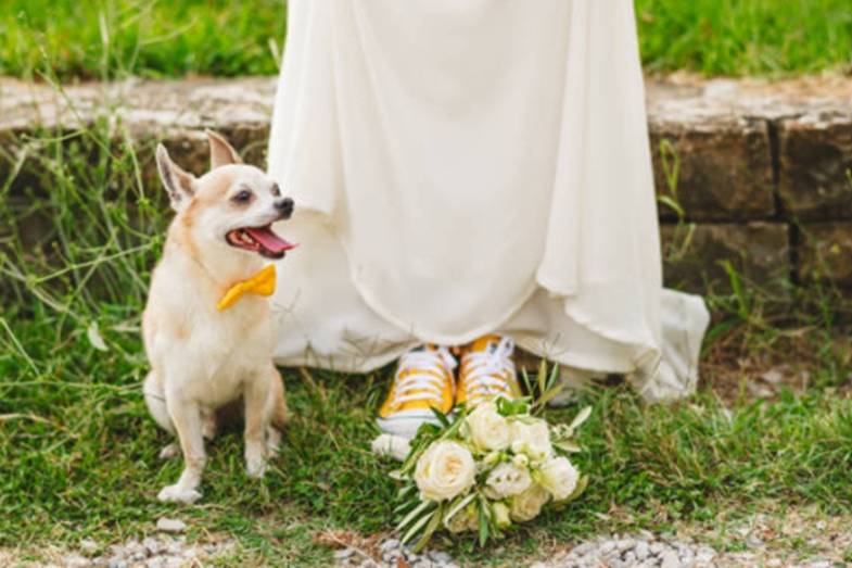 Invitados especiales