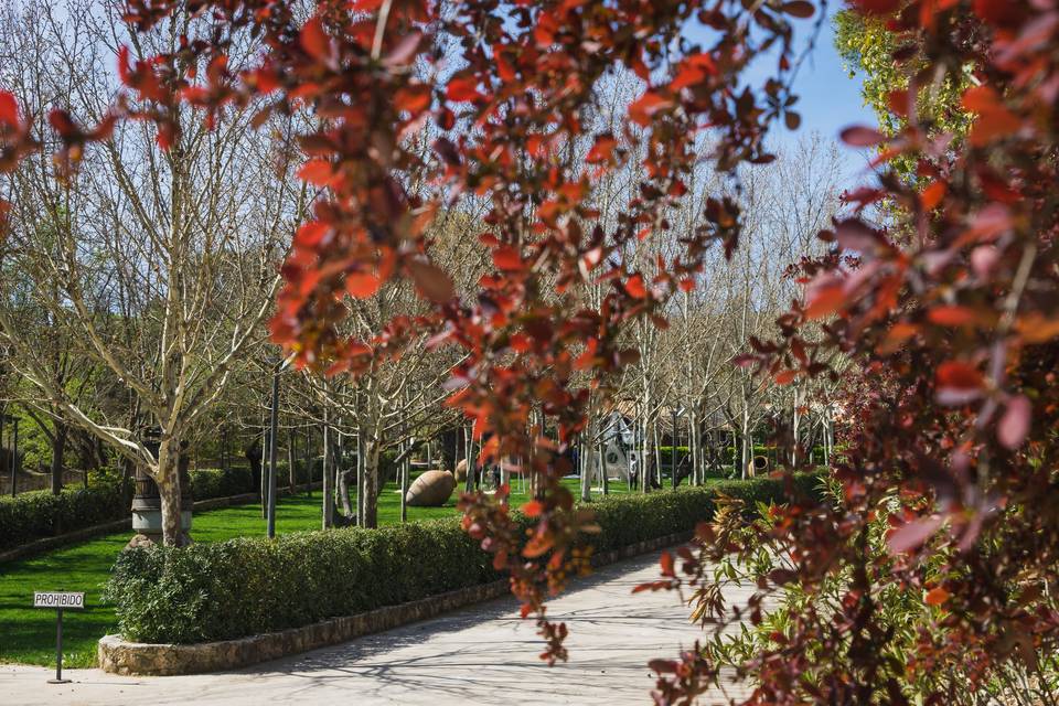 Entrada finca