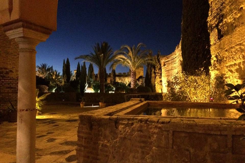 Jardín de noche