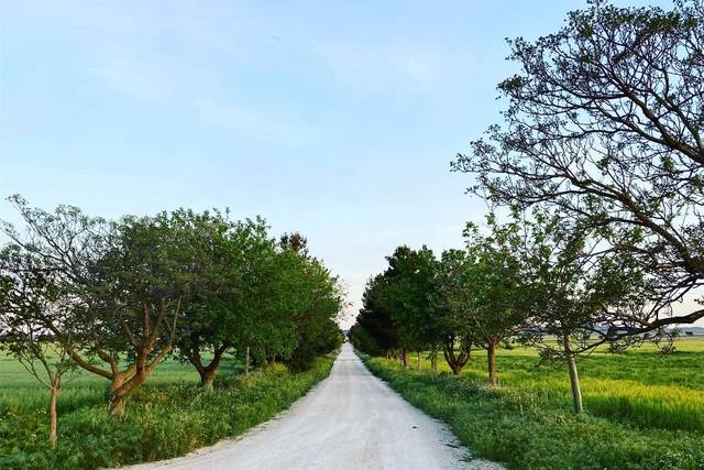 Entrada finca
