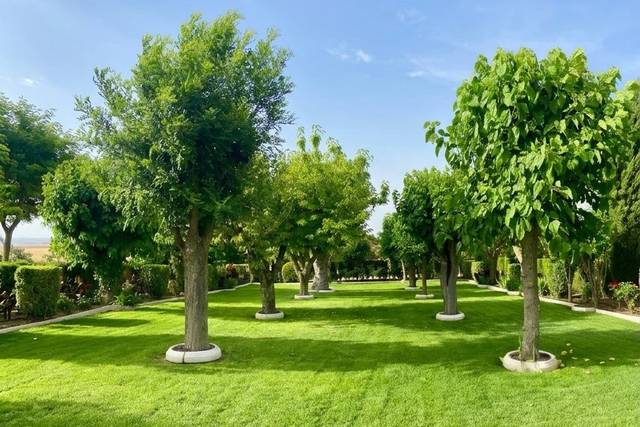Finca Las Hoyas