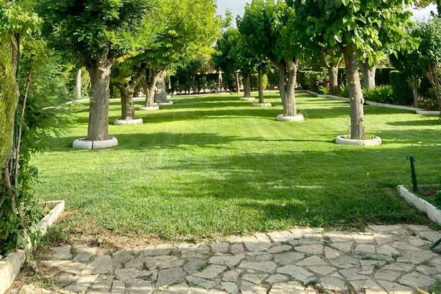 Entrada jardín