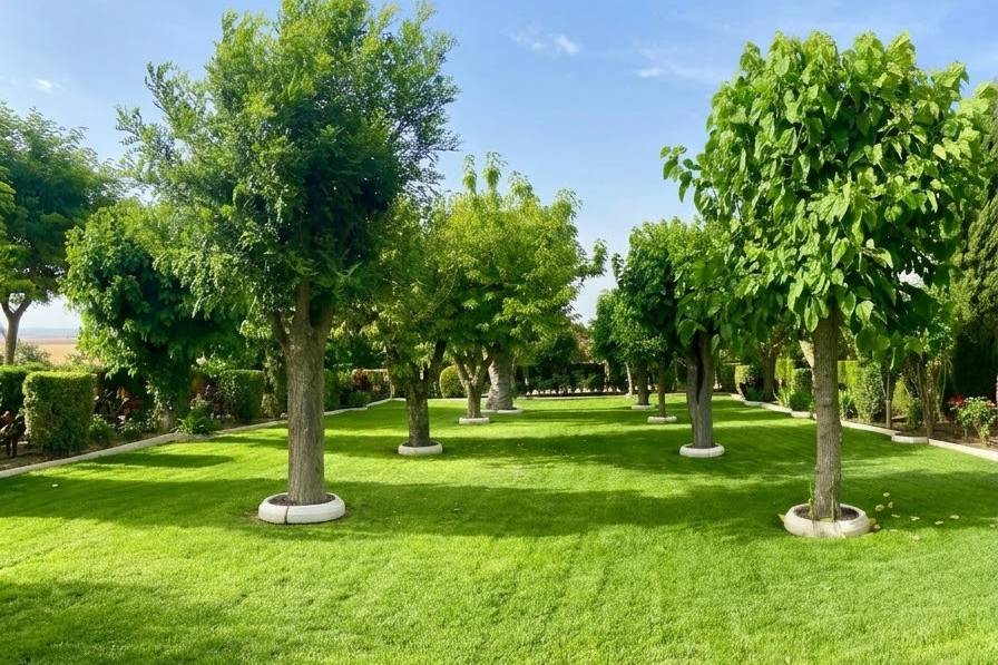 Finca Las Hoyas
