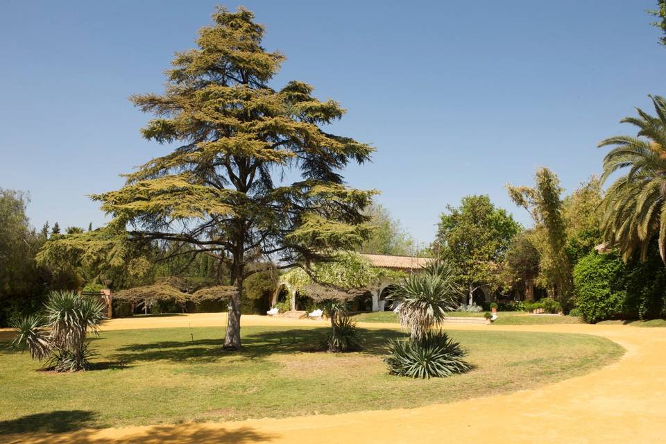 El Loreto
