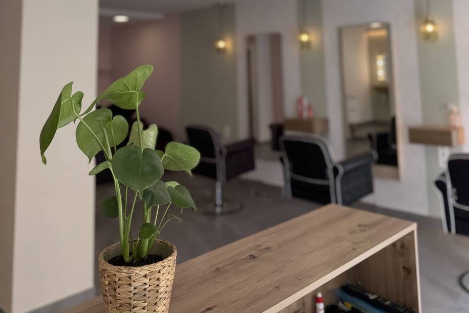 Mi lugar de trabajo