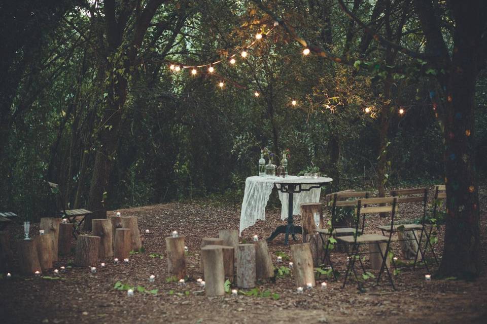 Bodas en el bosque