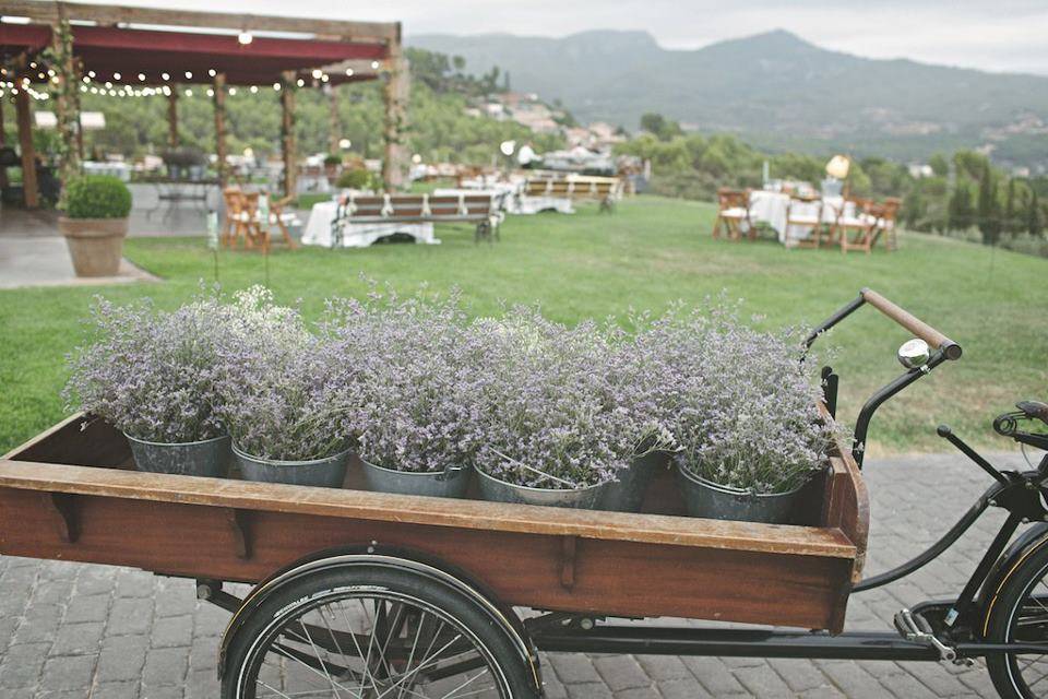 Decoración en el aperitivo