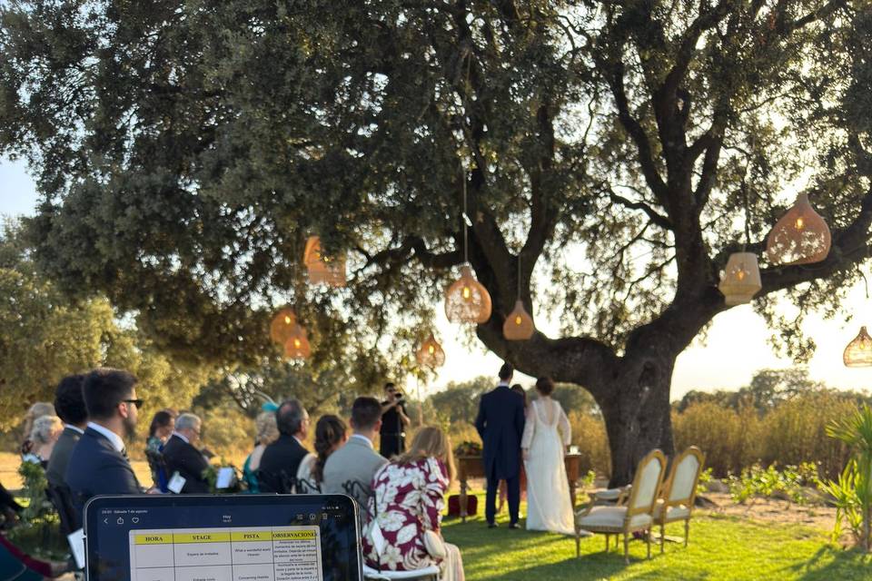 Bodas Civilies