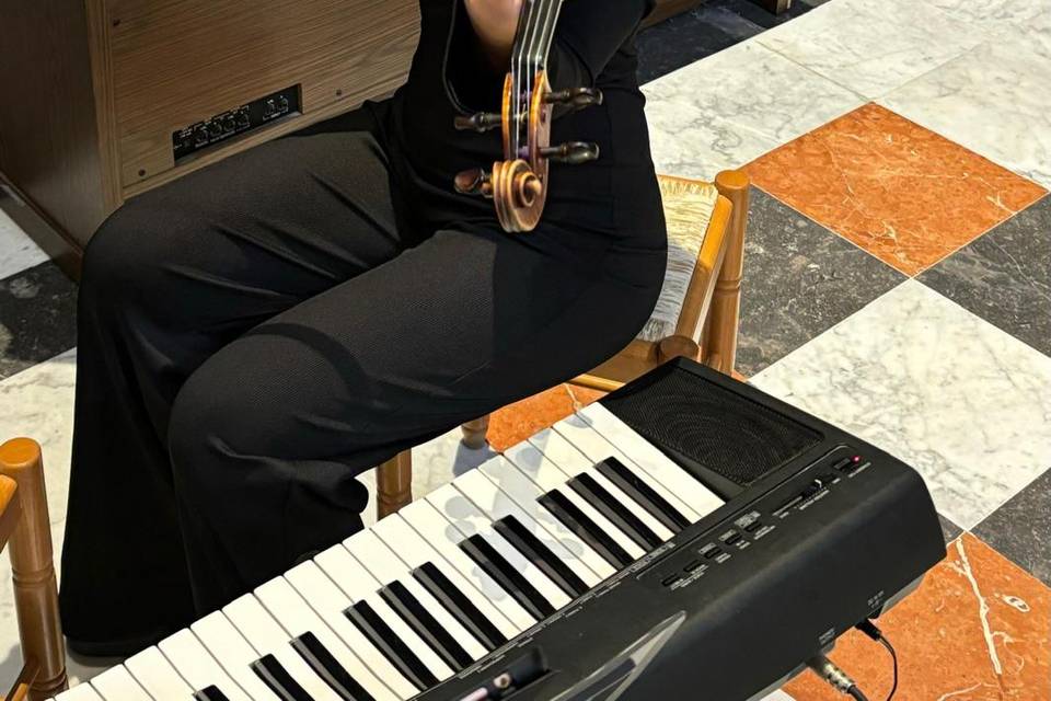 Violin
