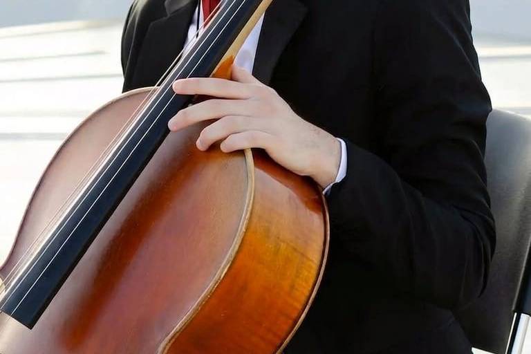Violonchelo