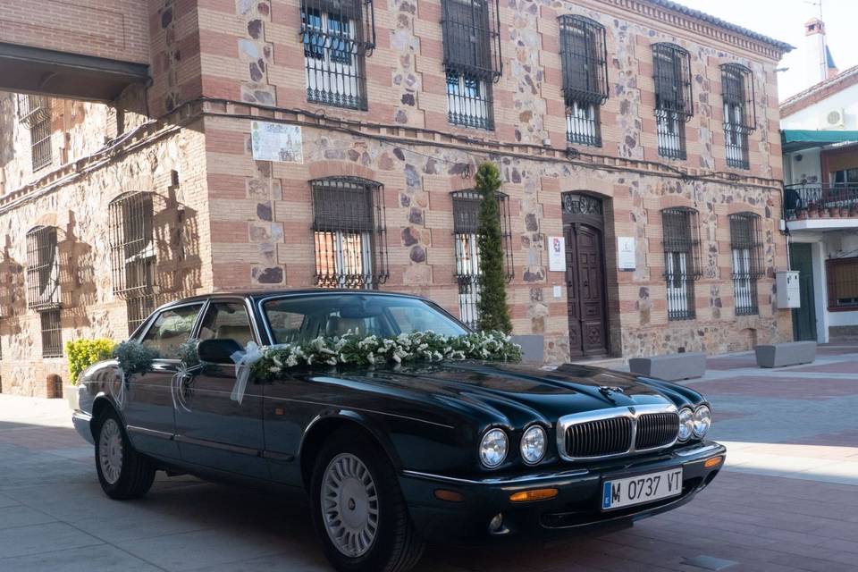 Jaguar