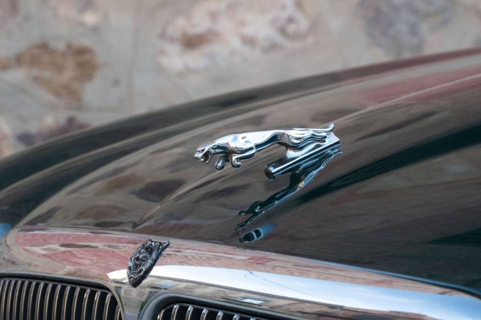 Jaguar