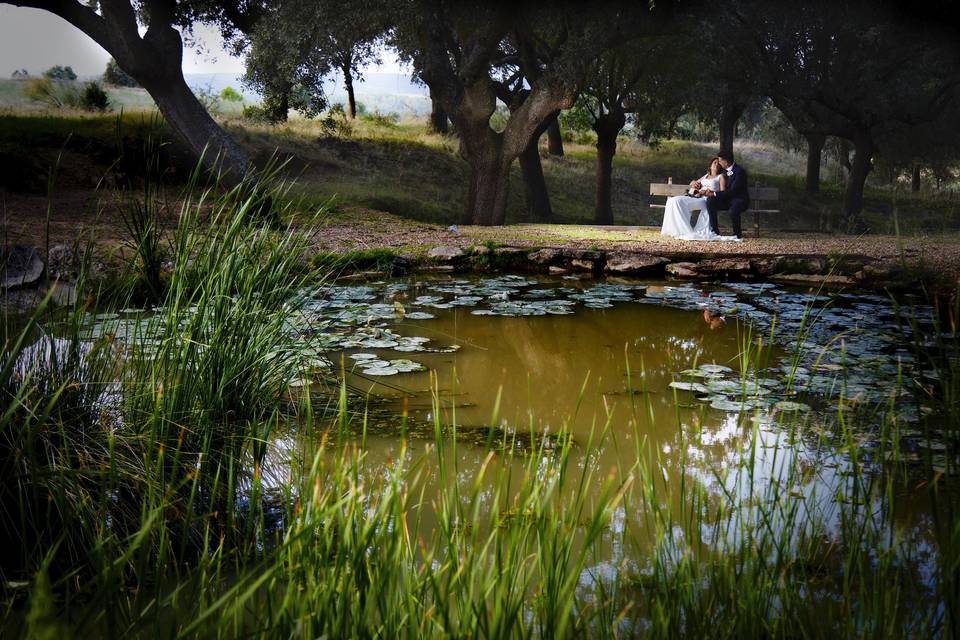 Silvia y fernando