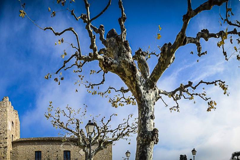 Castell de Vilafortuny - Grupo Casablanca