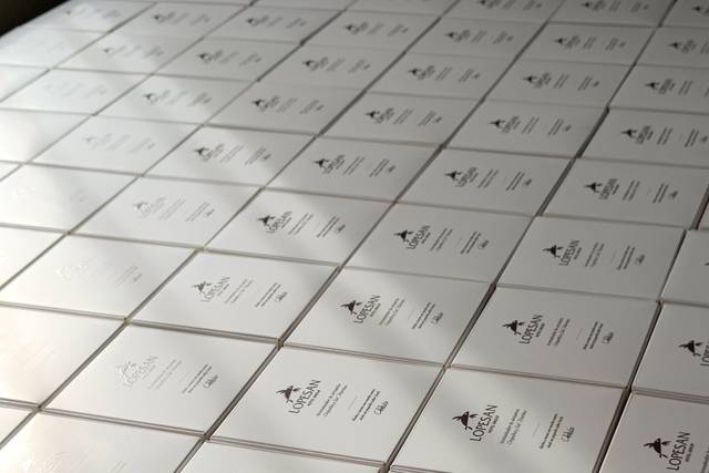 Packaging Lopesan