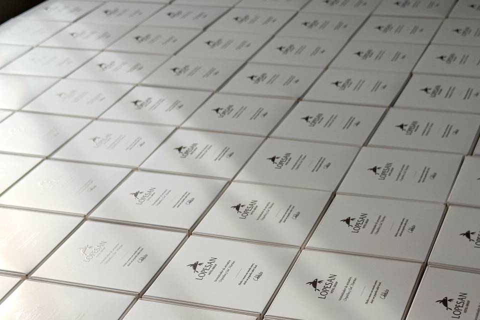 Packaging Lopesan