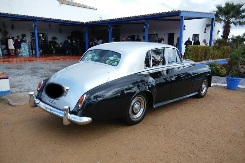 Bentley s1