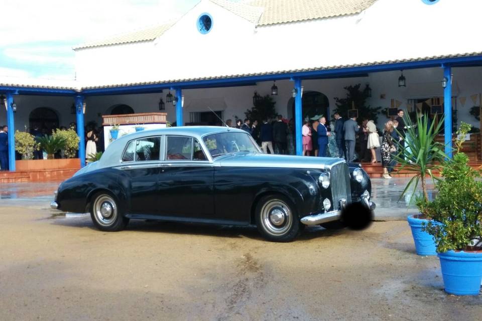 Bentley s1