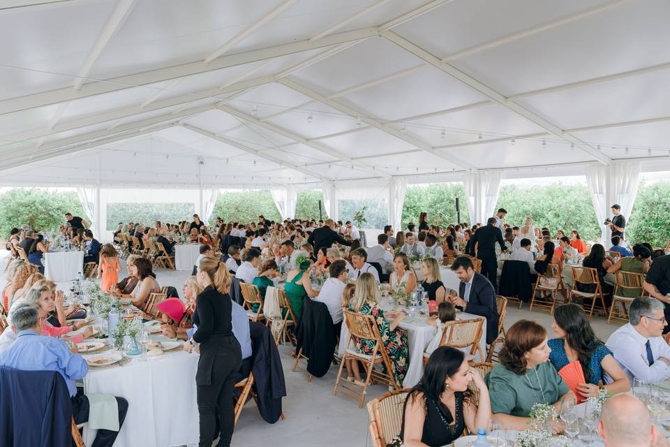 Comida en la carpa