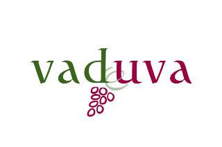 Vaduva