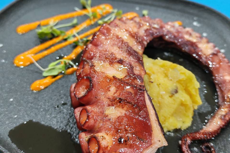Tronco de pulpo