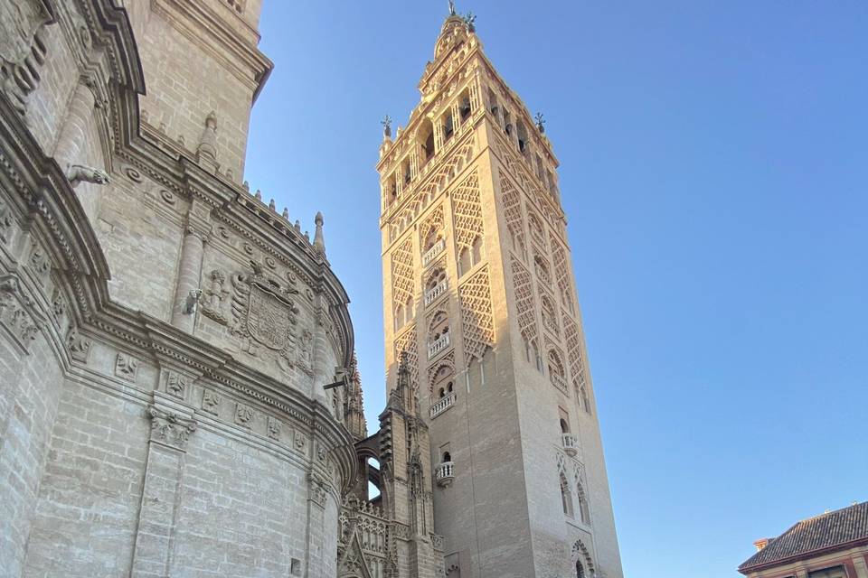 Boda en la catedral