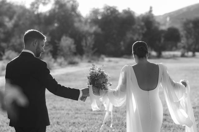 Bodas
