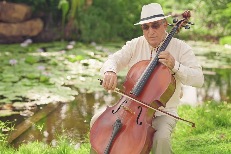Violonchelo acústico