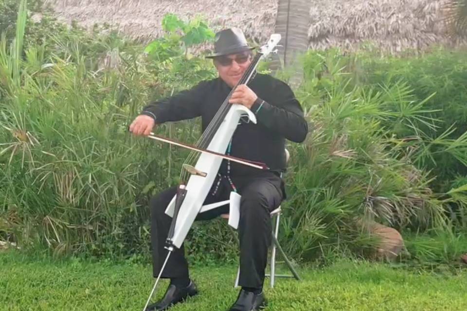 Violonchelo eléctrico