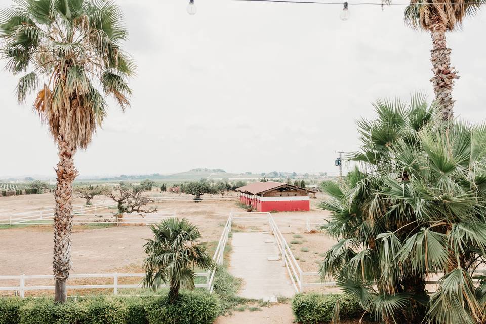 Zona trasera de la Finca