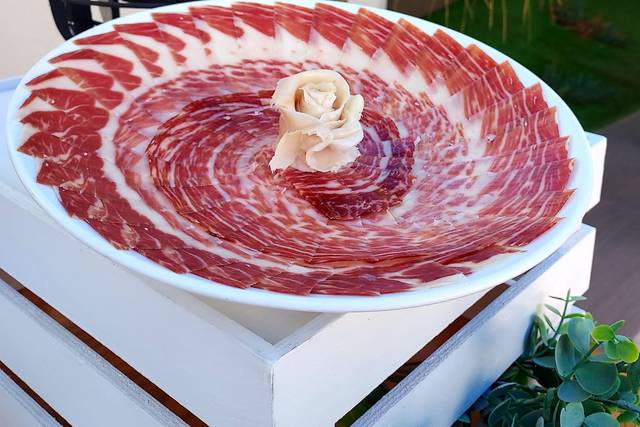 Plato presentación