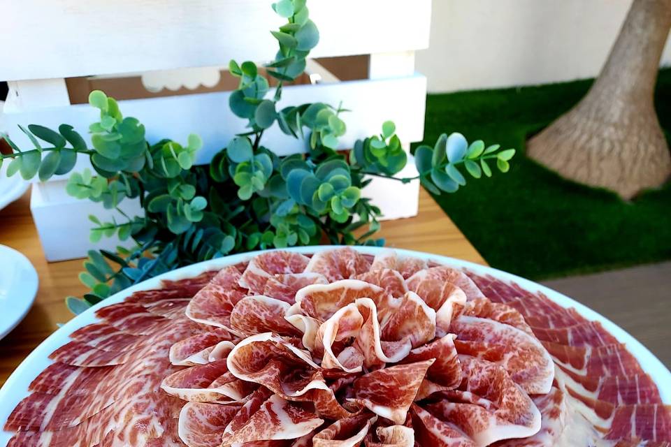 Plato presentación