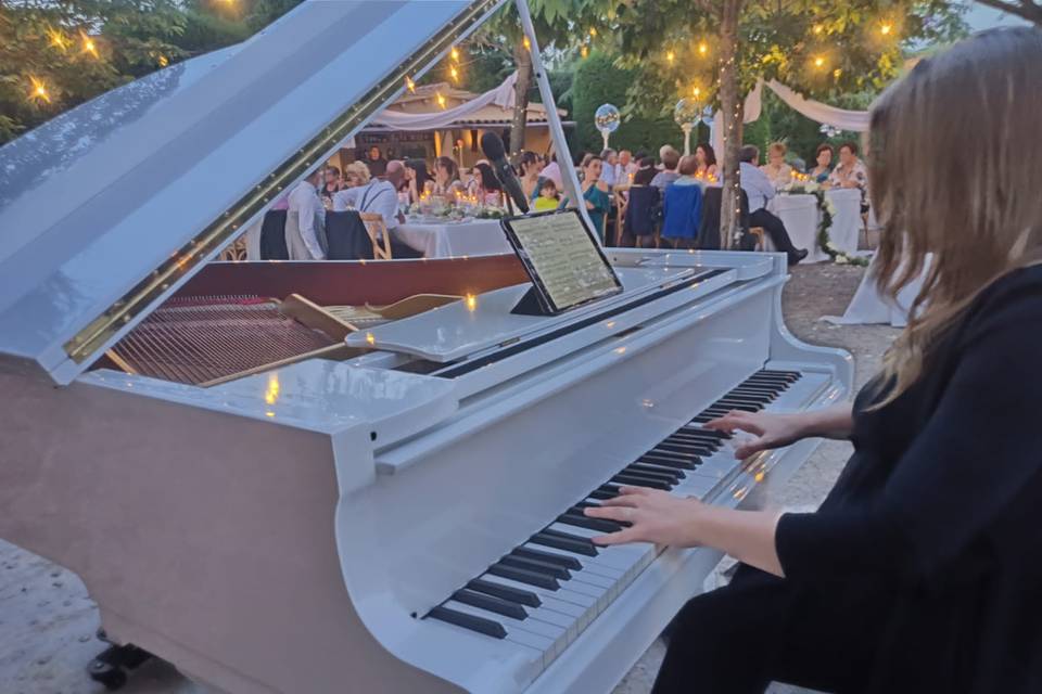 Piano de cola para banquete