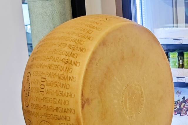 Rueda de 40kg