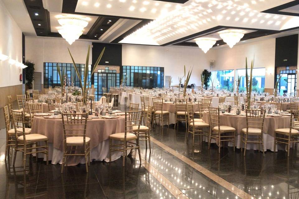 Cotonera Events