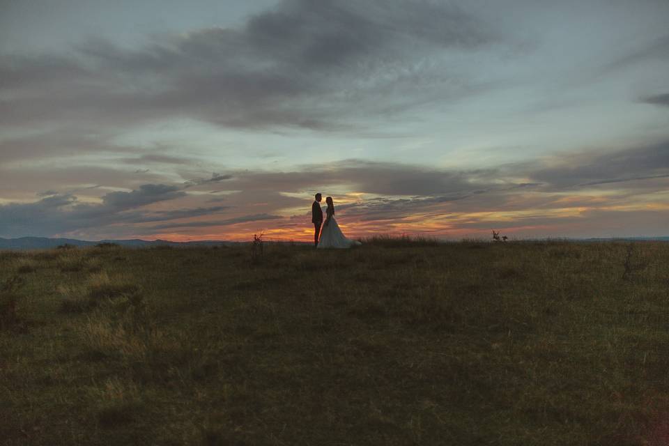 Trash the dress