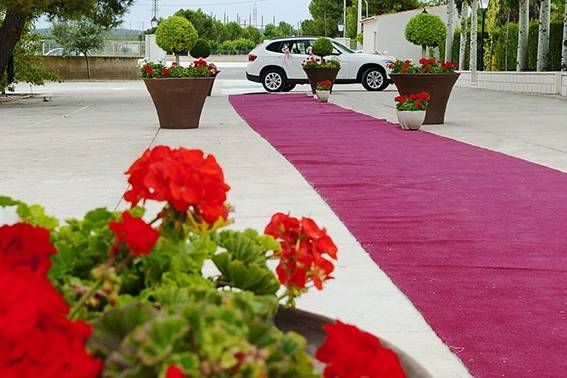 Pasarela roja