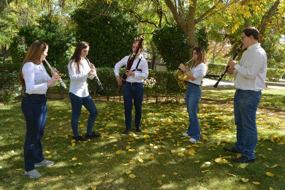 Cóctel al aire libre