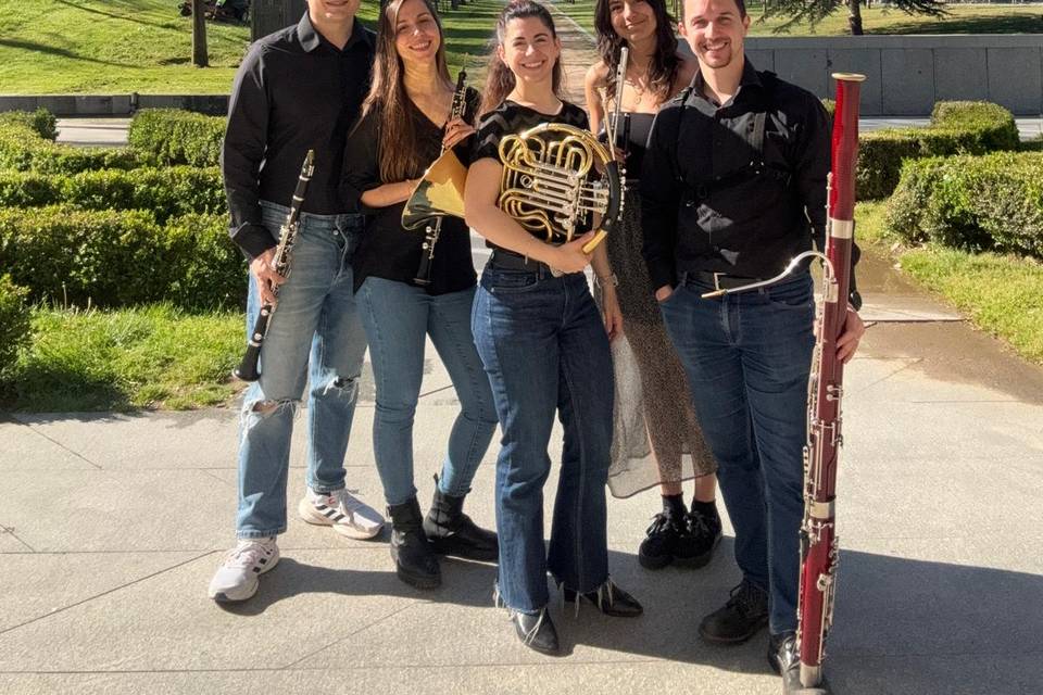 Músicos profesionales