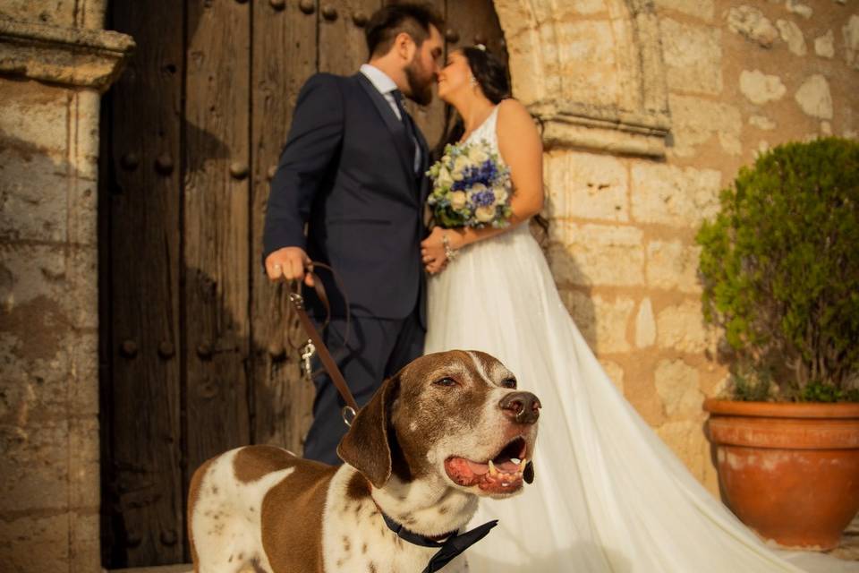 Boda de Rafa y Sheila con Draco