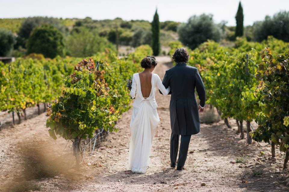 Boda en viñedo