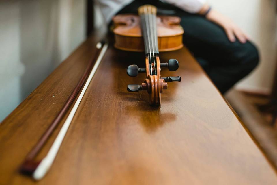 Detalle de violín
