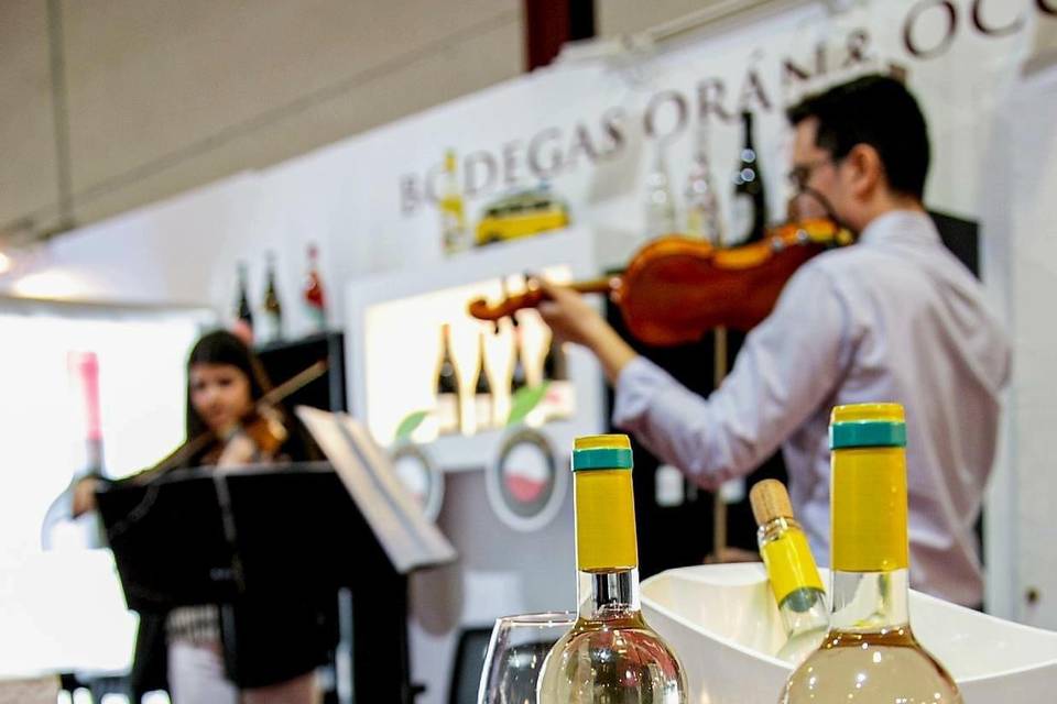 Violines evento