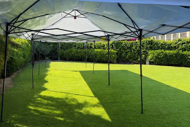 Carpas