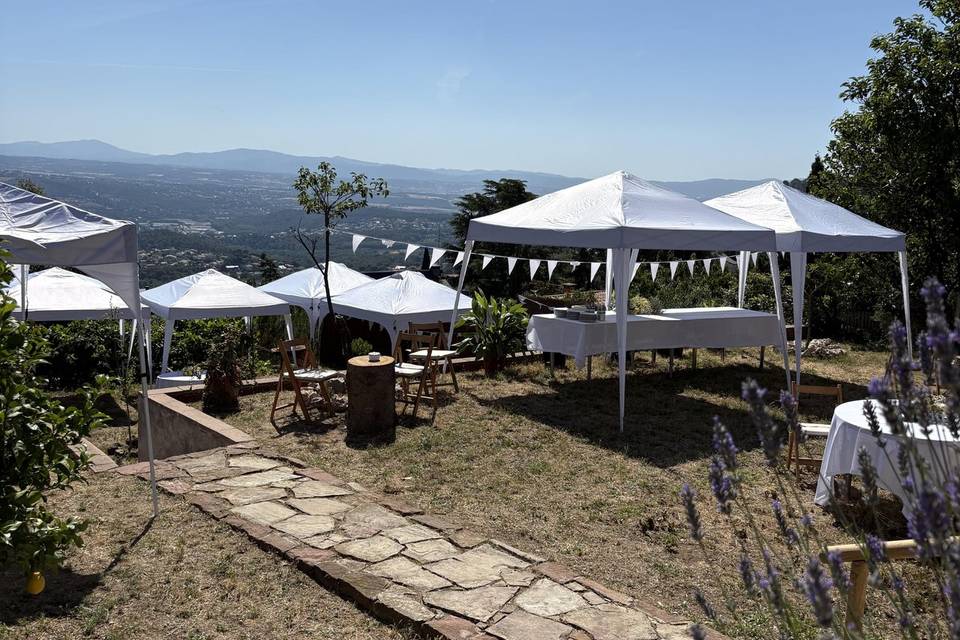 Carpas