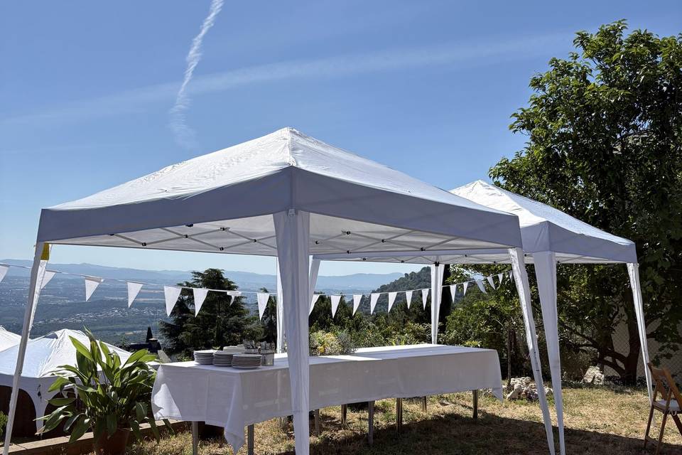 Carpas